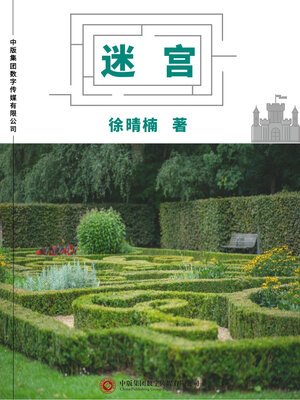 cover image of 迷宫